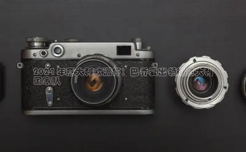 悟空体育平台登录入口网易2024 年意大利欧洲杯：巴乔复出领衔意大利
国家队