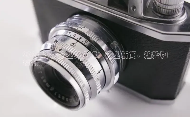 悟空体育小度商城2024 年保险业风向标：行业新闻、趋势和
预测