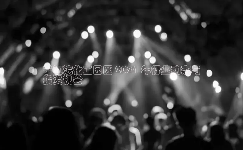 悟空体育在线官网路畅科技于江滨化工园区 2024 年行业动态与
投资机会