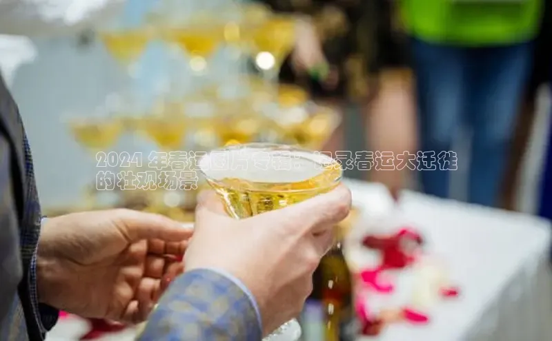 悟空·体育官网入口赛富乐斯