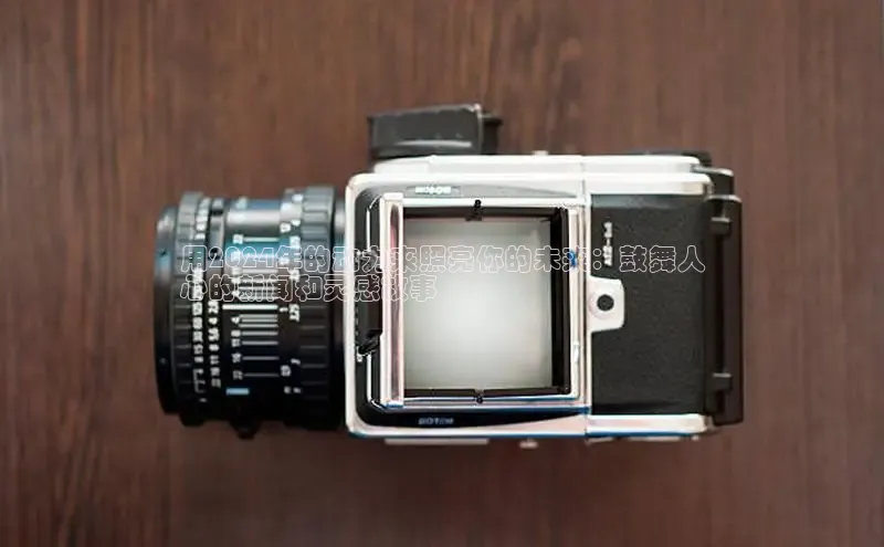 悟空体育平台官网入口阿里尔公司