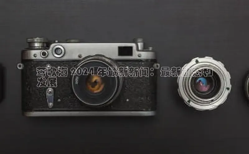 悟空体育网页版颐驰 06莺歌海 2024 年最新新闻：最新动态和
发展