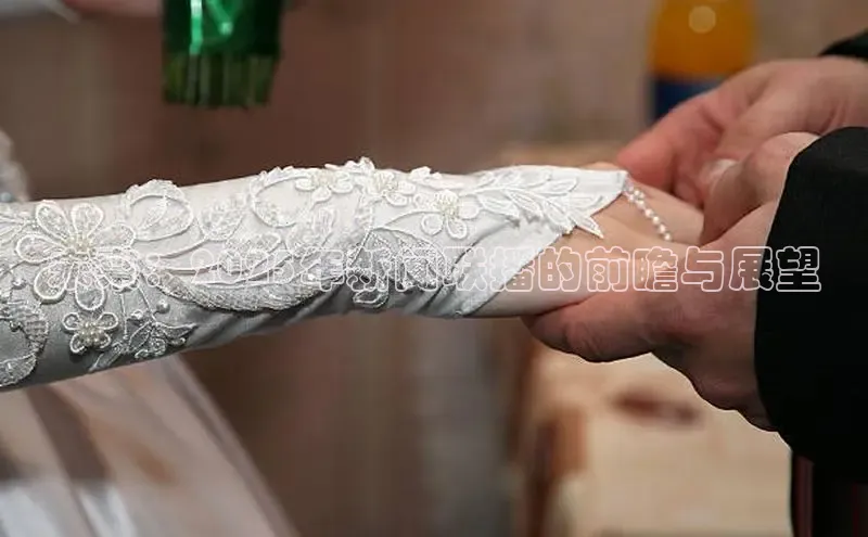 未来：2025年新闻联播的前瞻与展望