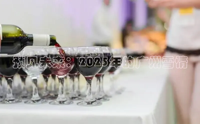预见未来：2025年的广州雪情