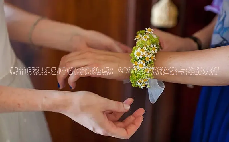 春节庆祝活动中的新闻热点：2025年的新趋势与挑战分析