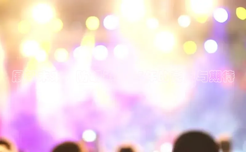 展望未来：防胡镇2025年的亮点与期待