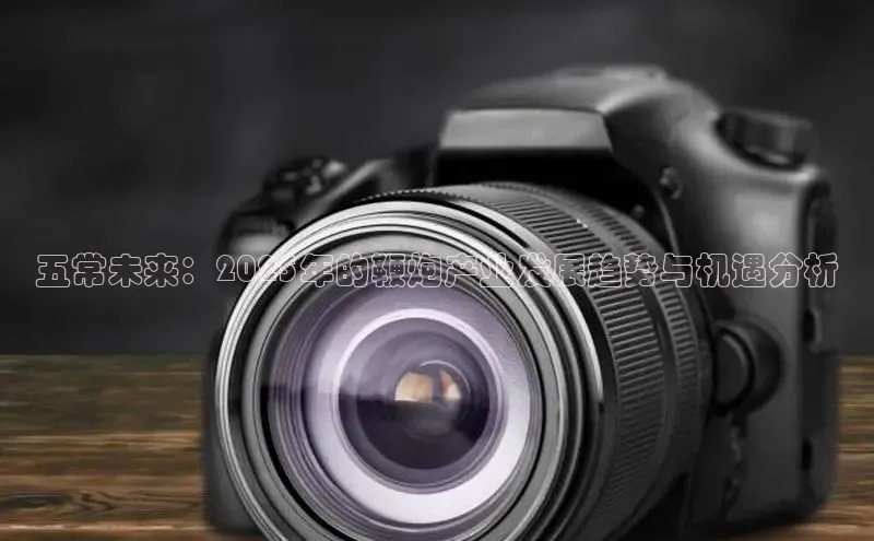 五常未来：2025年的鞭炮产业发展趋势与机遇分析